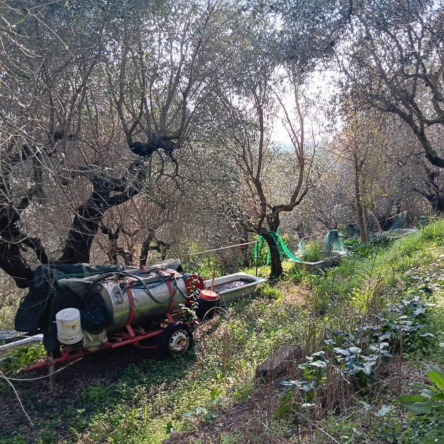 terreno edificabile in vendita a Massarosa