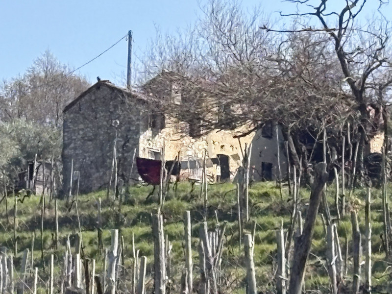 immagine annuncio 4 di 9