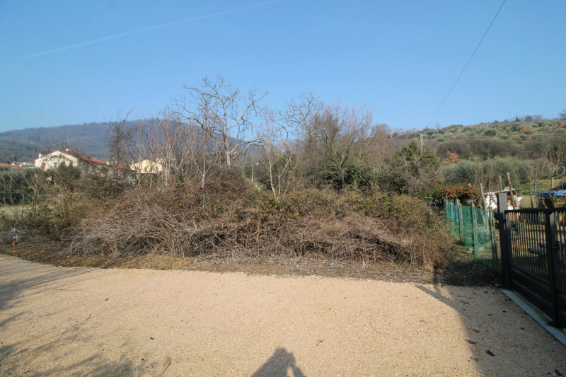 immagine annuncio 3 di 7