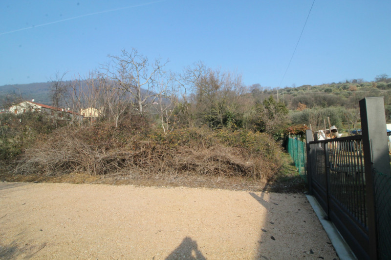 immagine annuncio 5 di 7