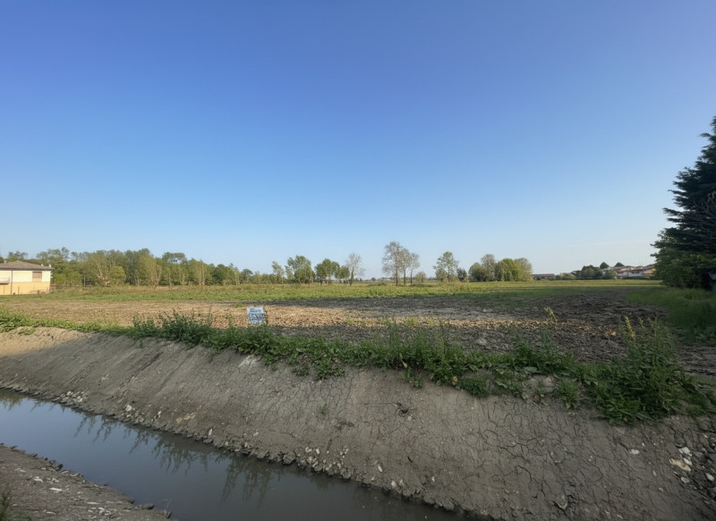 immagine annuncio 4 di 8