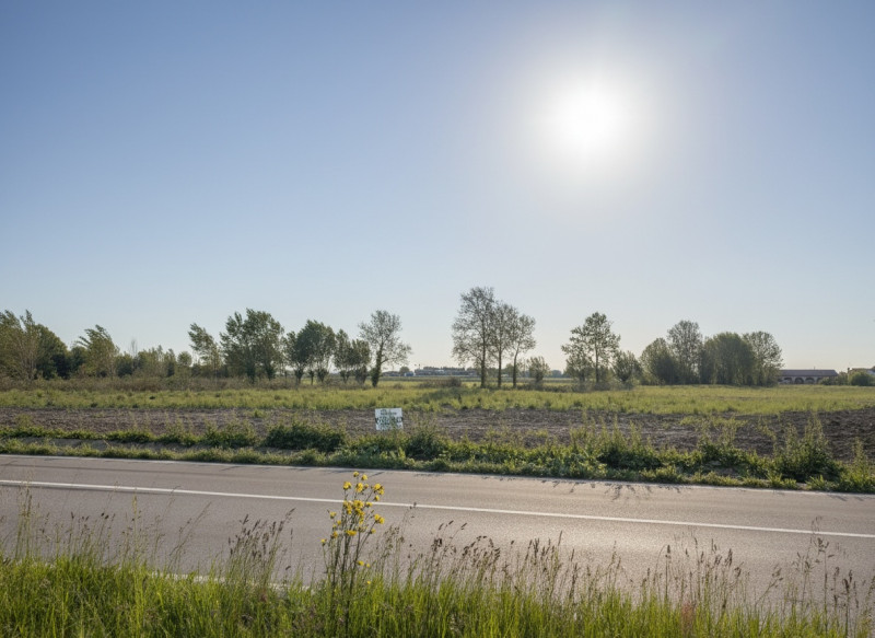 immagine annuncio 5 di 8