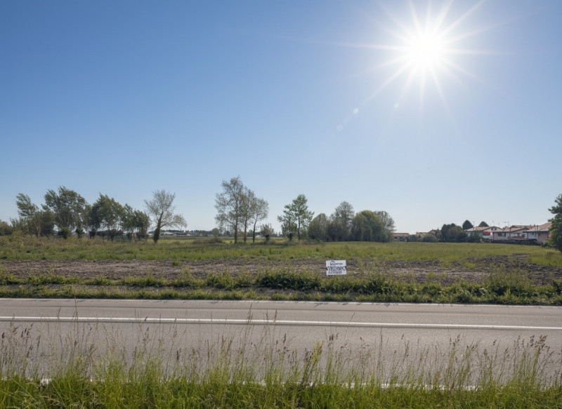 immagine annuncio 1 di 8