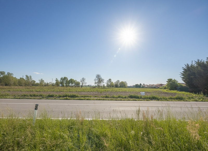 immagine annuncio 2 di 8