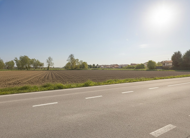 immagine annuncio 3 di 8