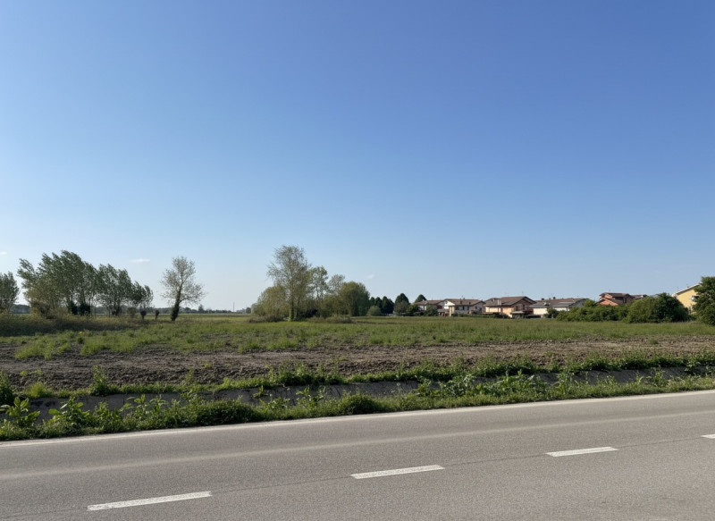 immagine annuncio 6 di 8