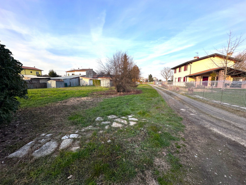 immagine annuncio 1 di 8