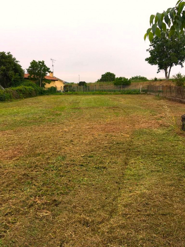 immagine annuncio 8 di 10