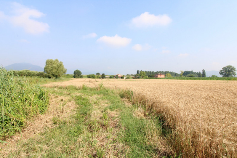 immagine annuncio 5 di 9