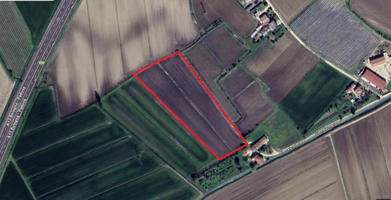 immagine annuncio 3 di 7