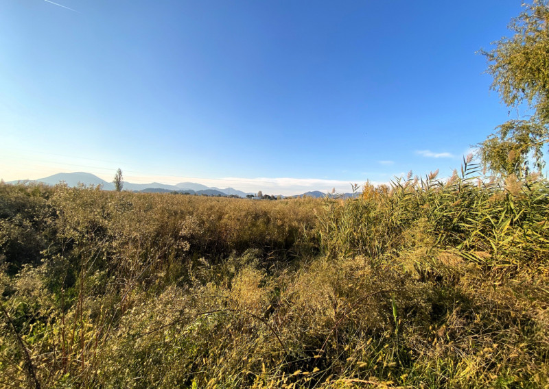 immagine annuncio 1 di 7