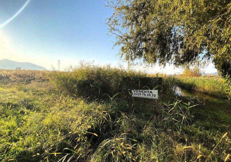 immagine annuncio 2 di 7