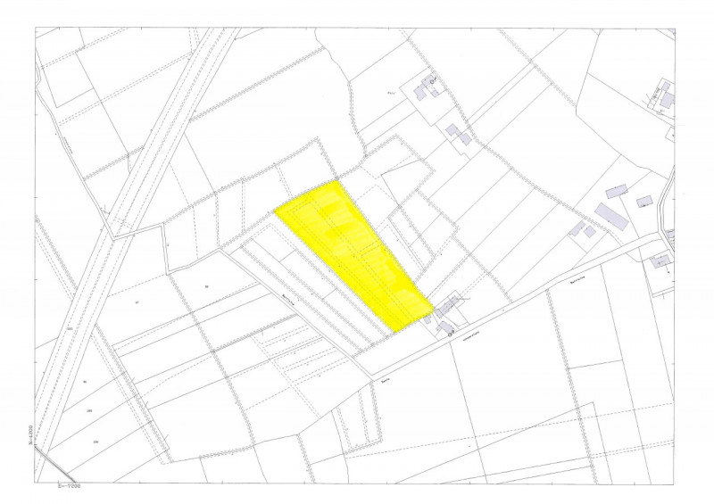 immagine annuncio 4 di 7