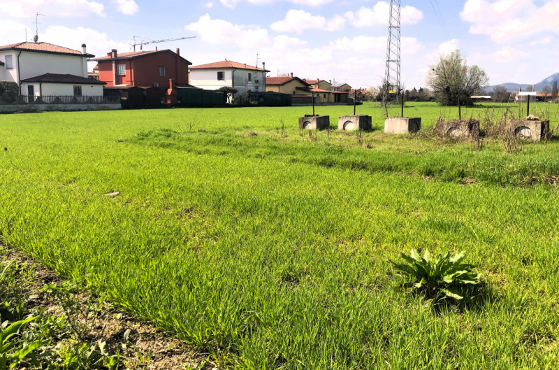 immagine annuncio 4 di 6