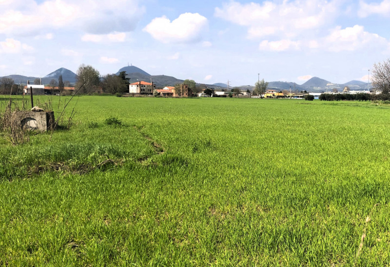 immagine annuncio 2 di 6