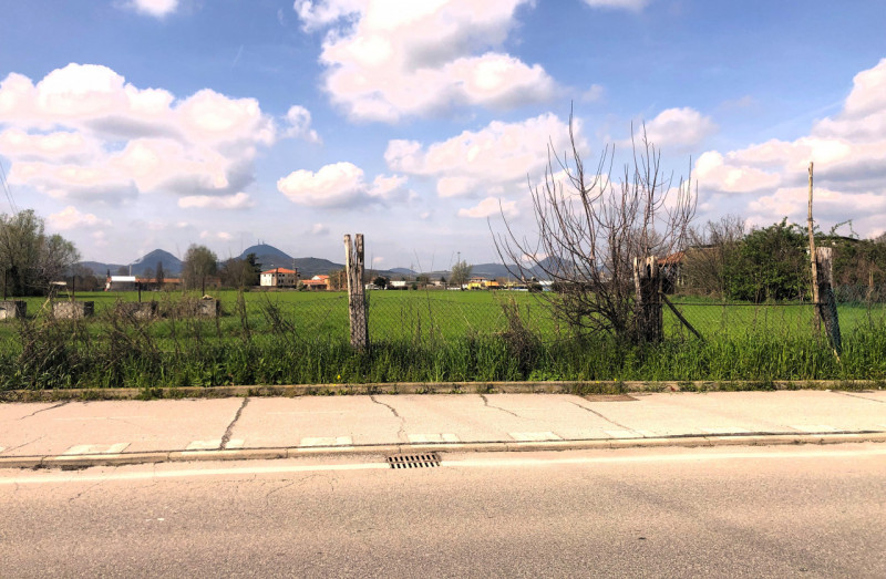 immagine annuncio 1 di 6