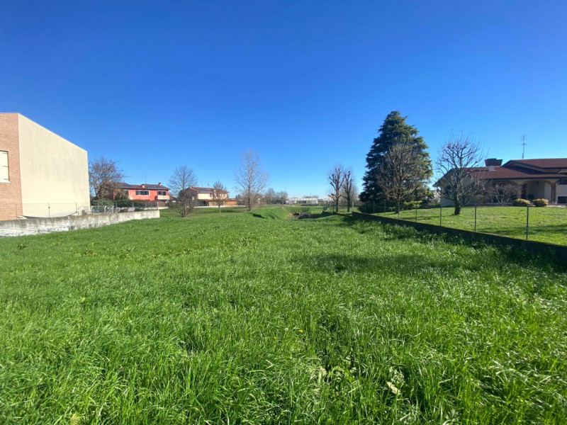 immagine annuncio 7 di 8