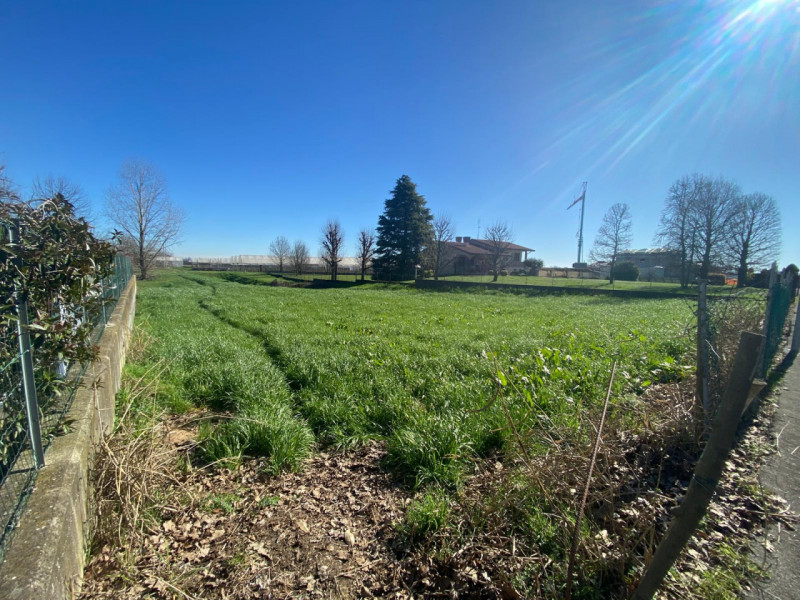 immagine annuncio 5 di 8