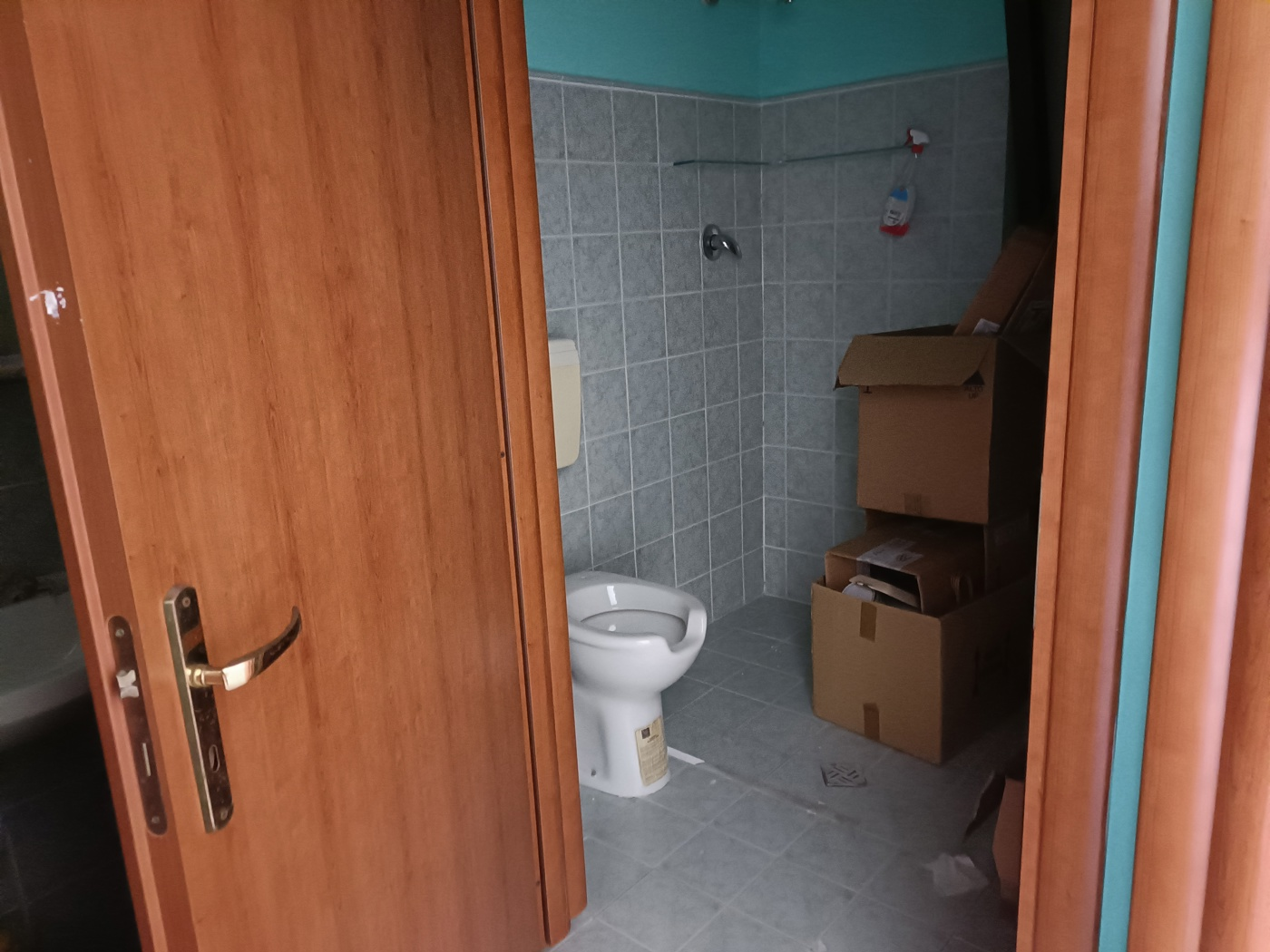 immagine annuncio 5 di 6