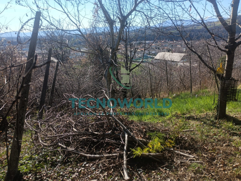 immagine annuncio 7 di 10