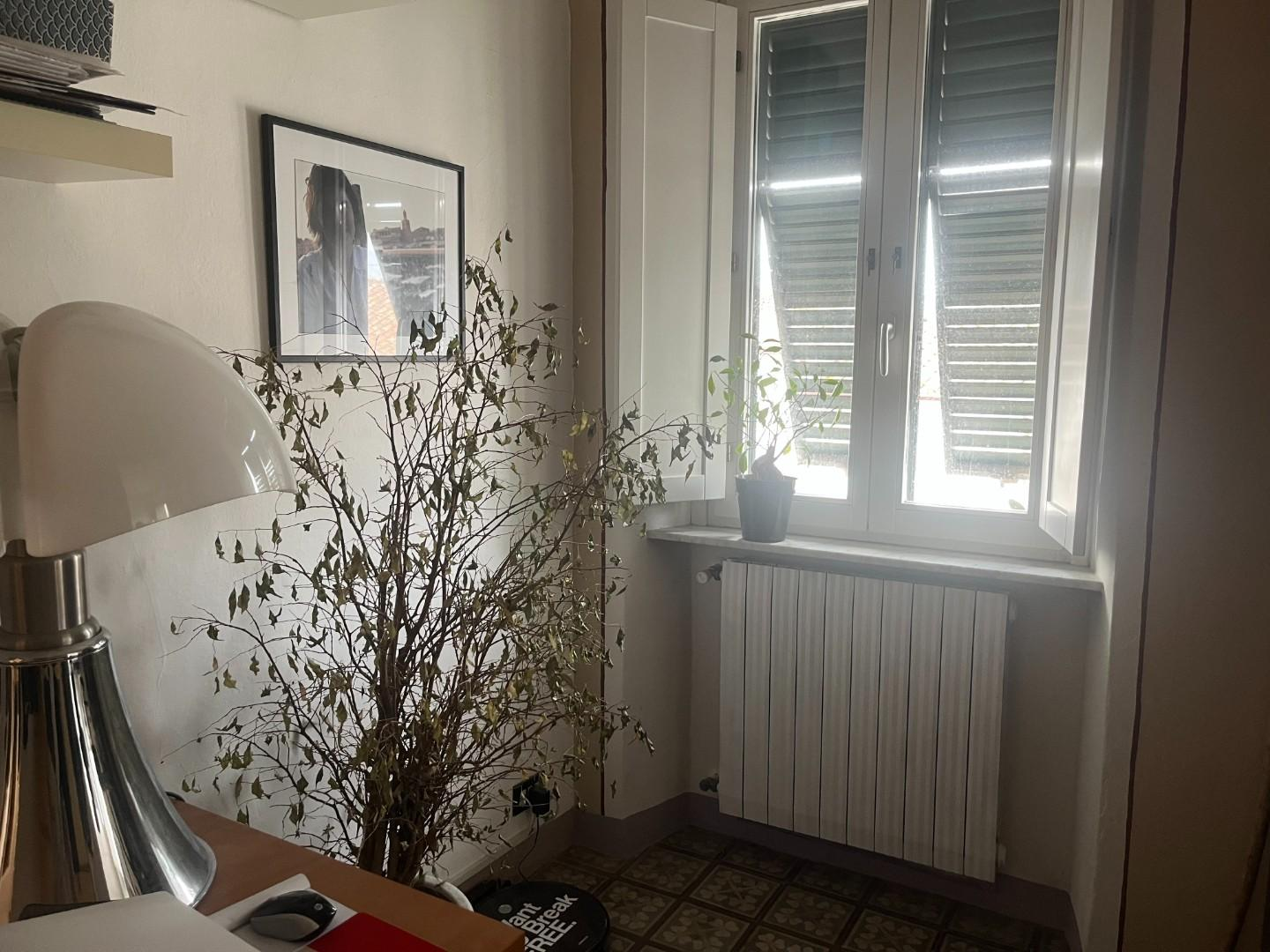 appartamento in vendita a Lucca