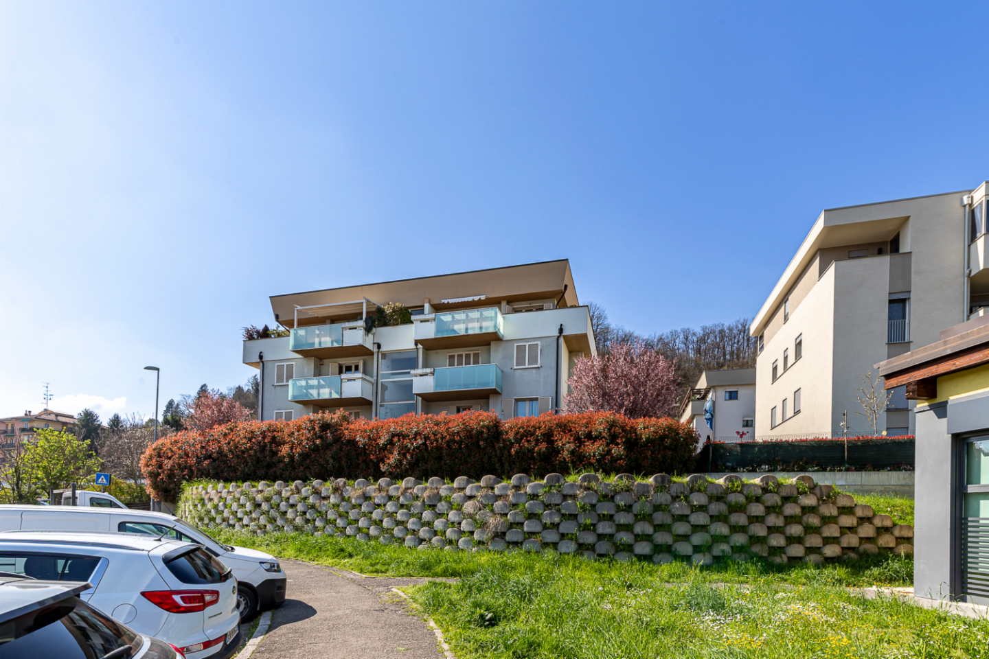 immagine annuncio 4 di 6