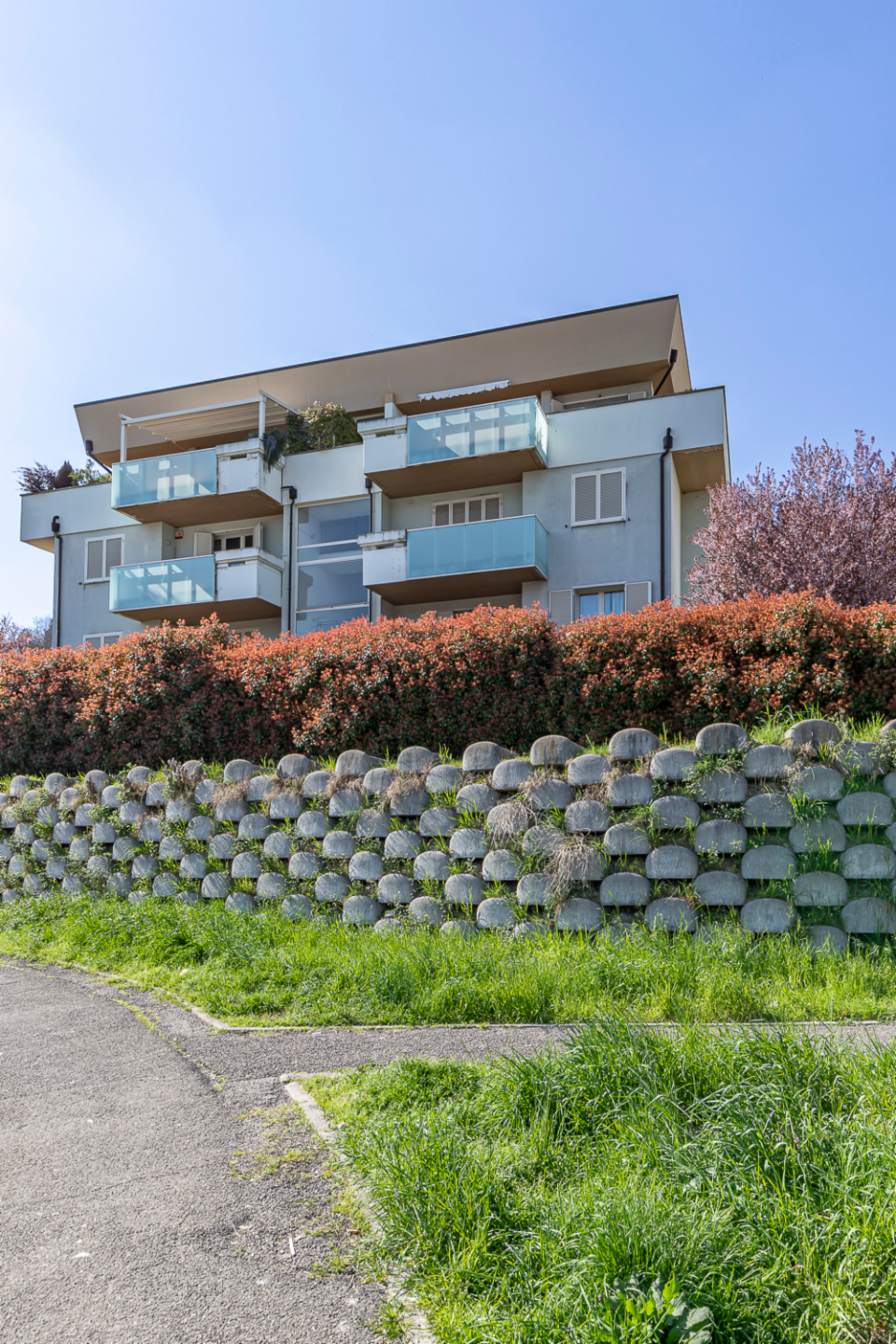 immagine annuncio 5 di 6