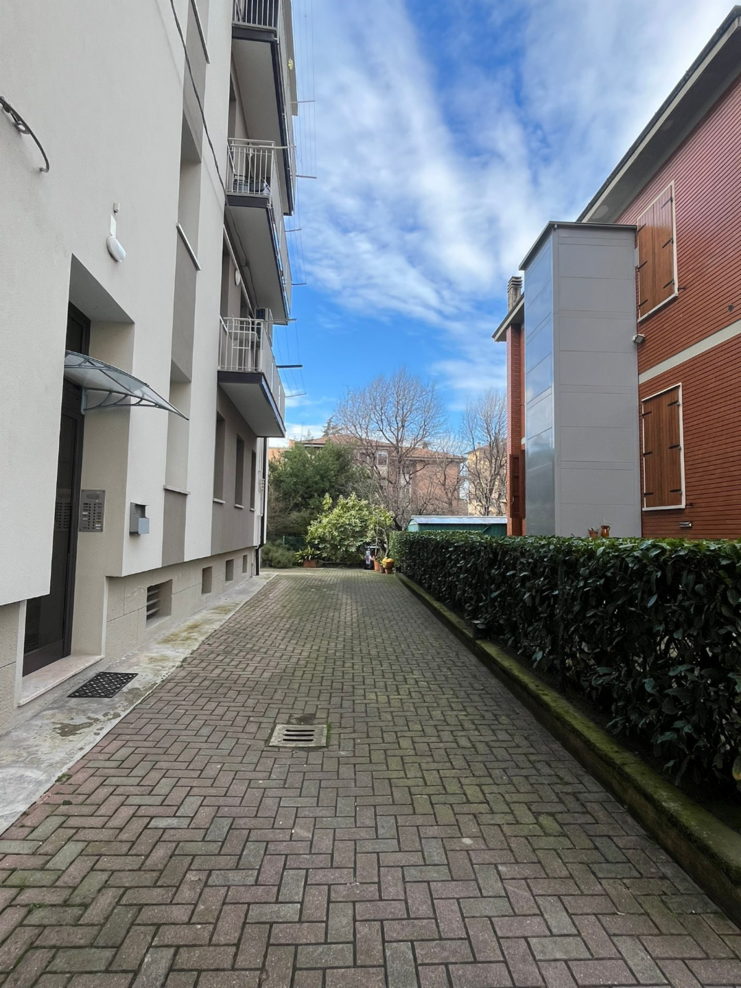 immagine annuncio 3 di 9