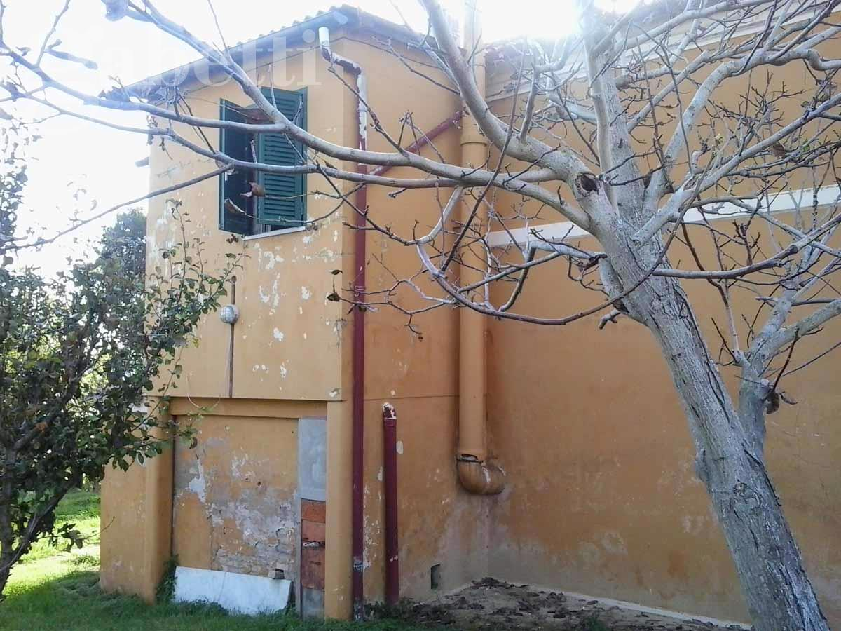 immagine annuncio 1 di 7