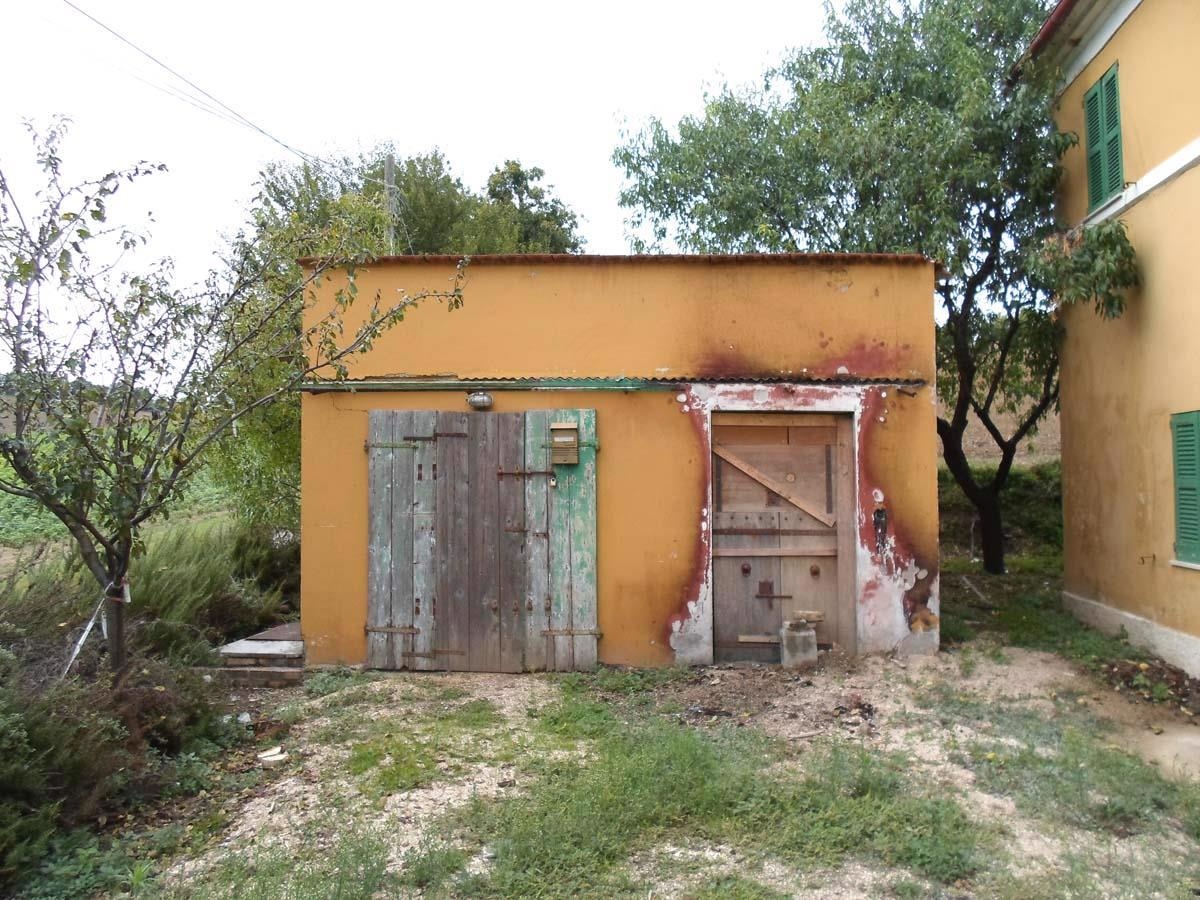 immagine annuncio 2 di 7