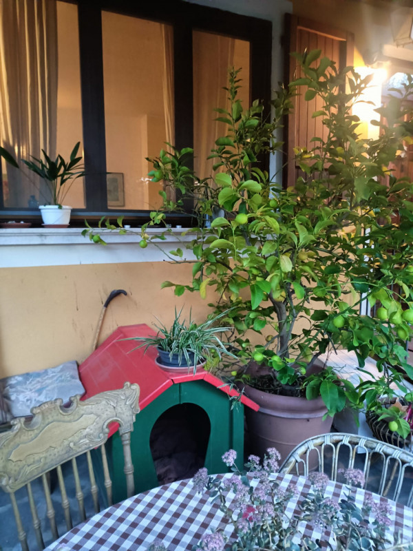 immagine annuncio 2 di 10