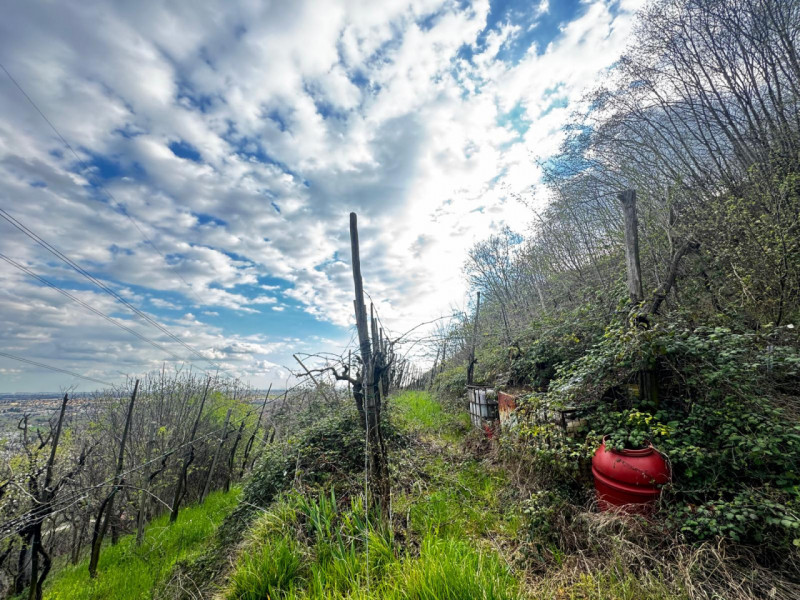 immagine annuncio 3 di 6