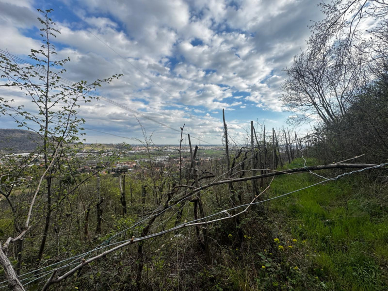 immagine annuncio 1 di 6