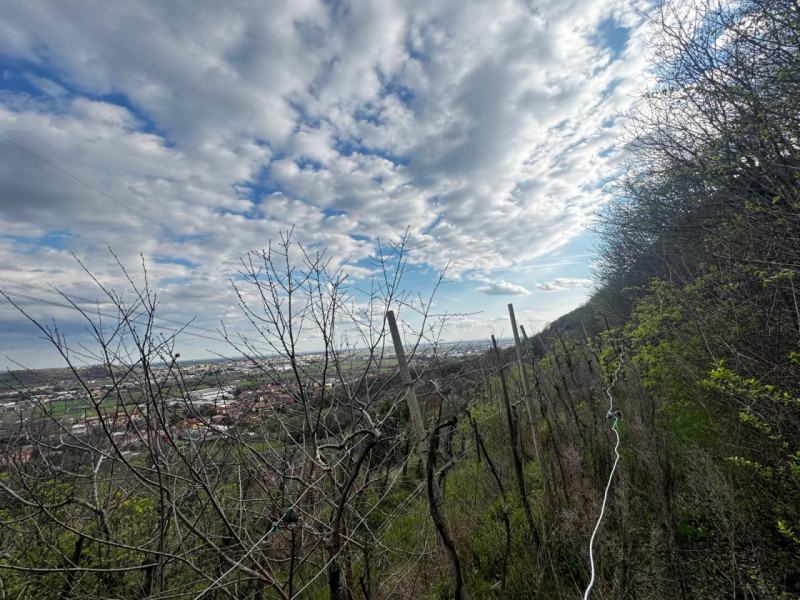 immagine annuncio 4 di 6