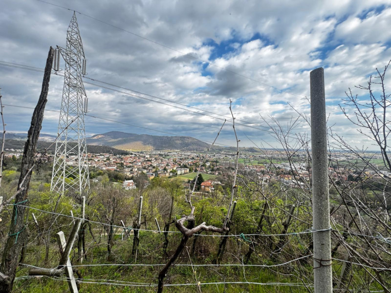 immagine annuncio 5 di 6