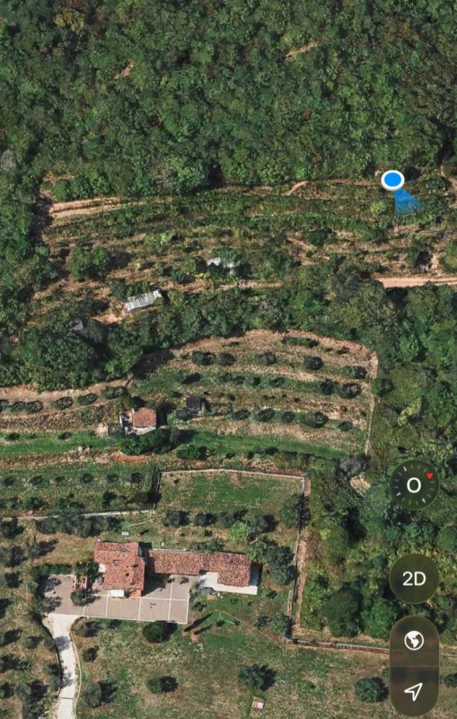 immagine annuncio 2 di 6