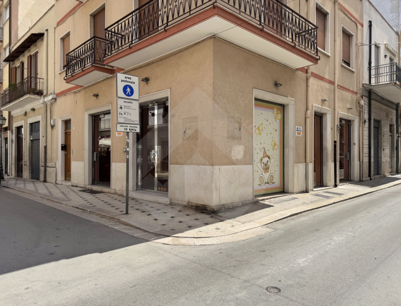 immagine annuncio 2 di 6