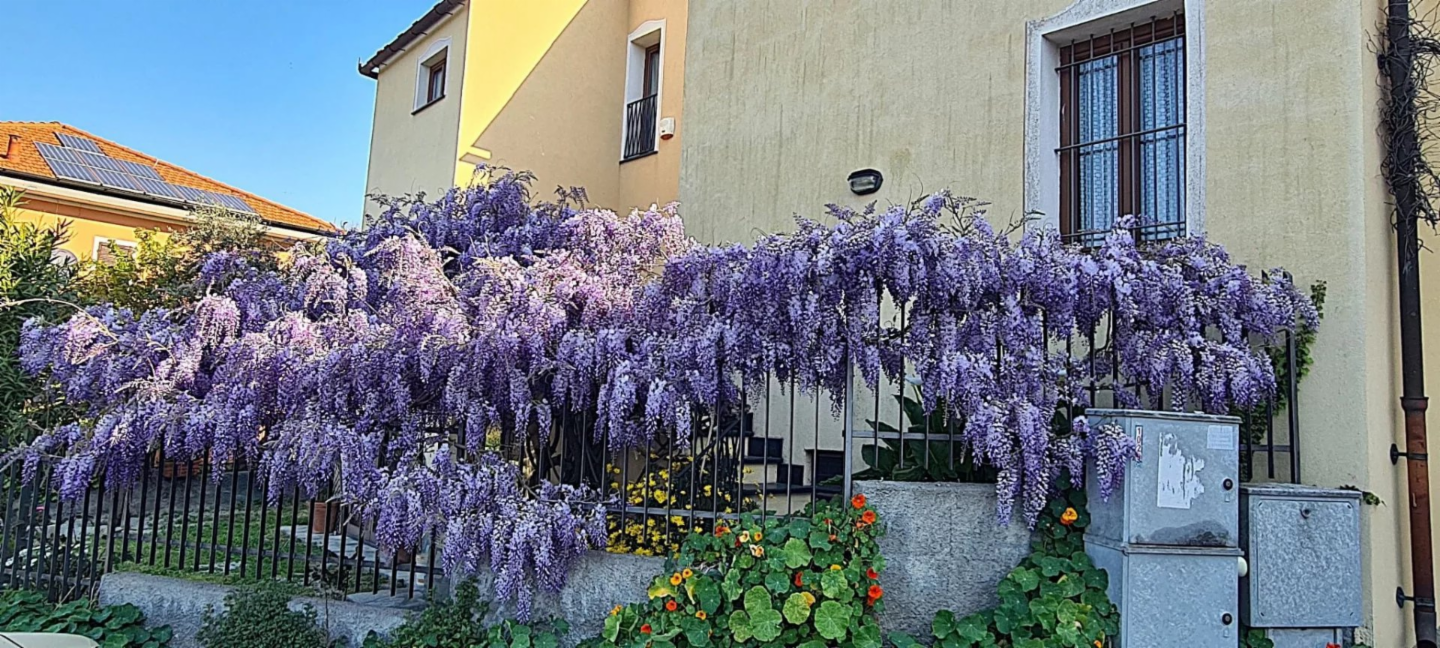 immagine annuncio 8 di 10