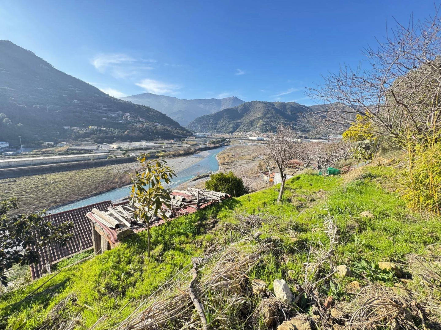 immagine annuncio 7 di 10