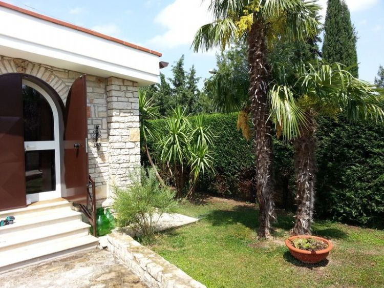 immagine annuncio 2 di 6