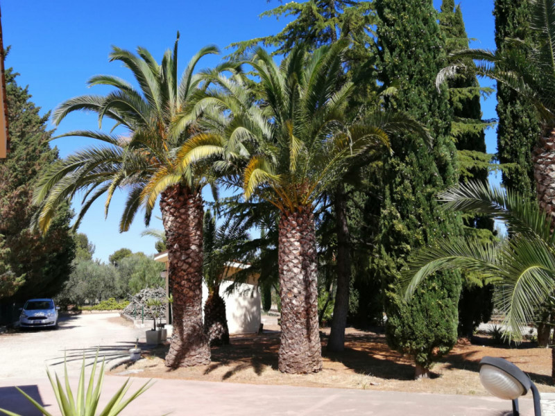 immagine annuncio 4 di 8