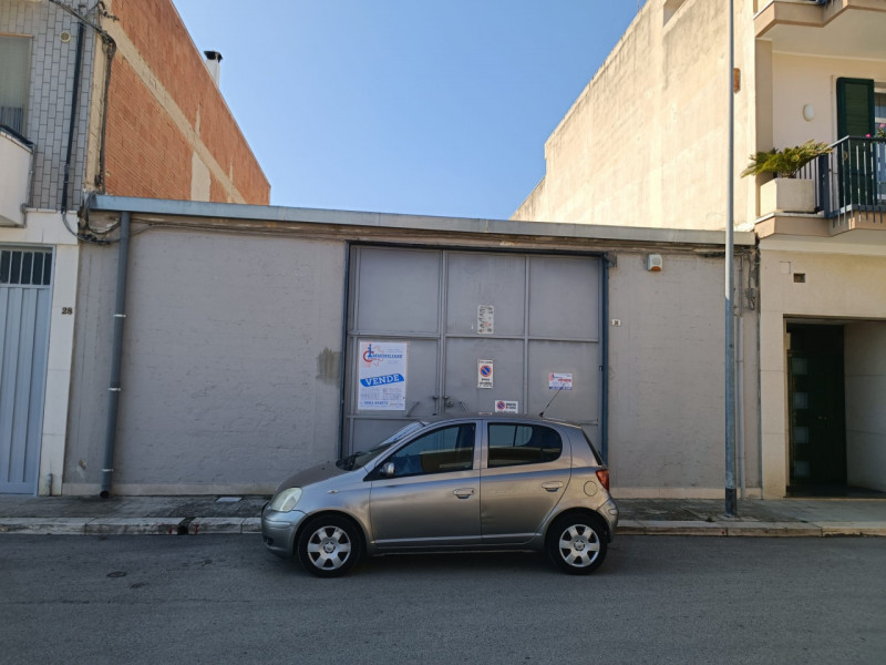 immagine annuncio 2 di 4