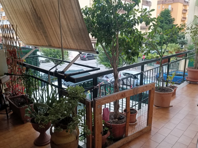 immagine annuncio 3 di 7