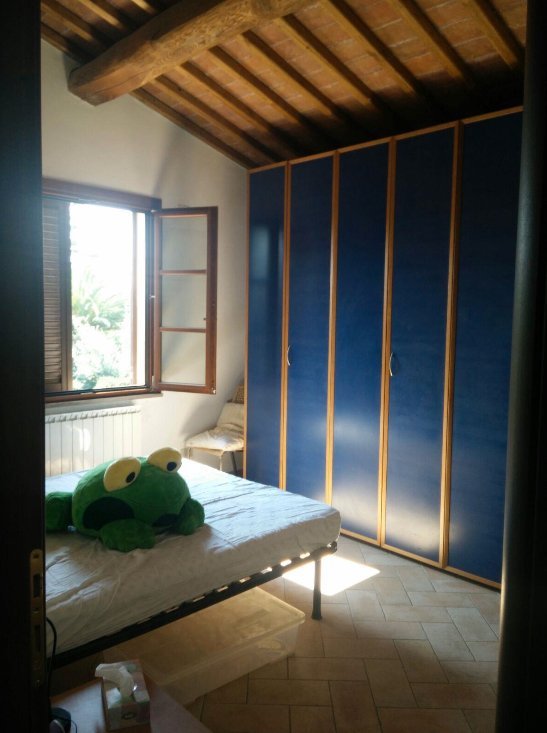 immagine annuncio 3 di 8