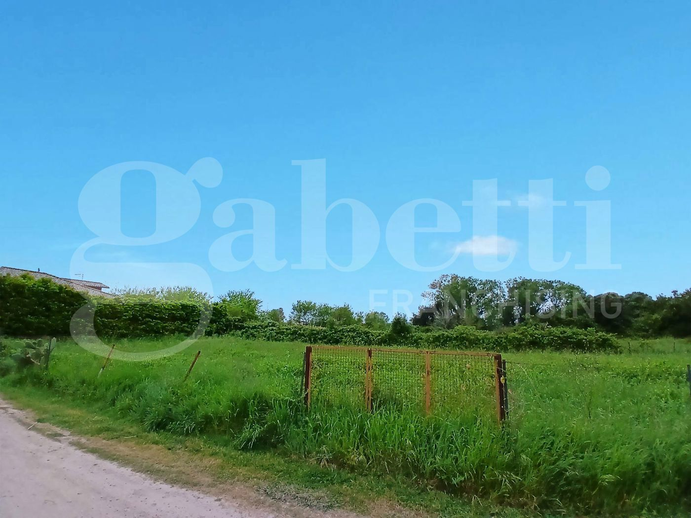 immagine annuncio 1 di 4