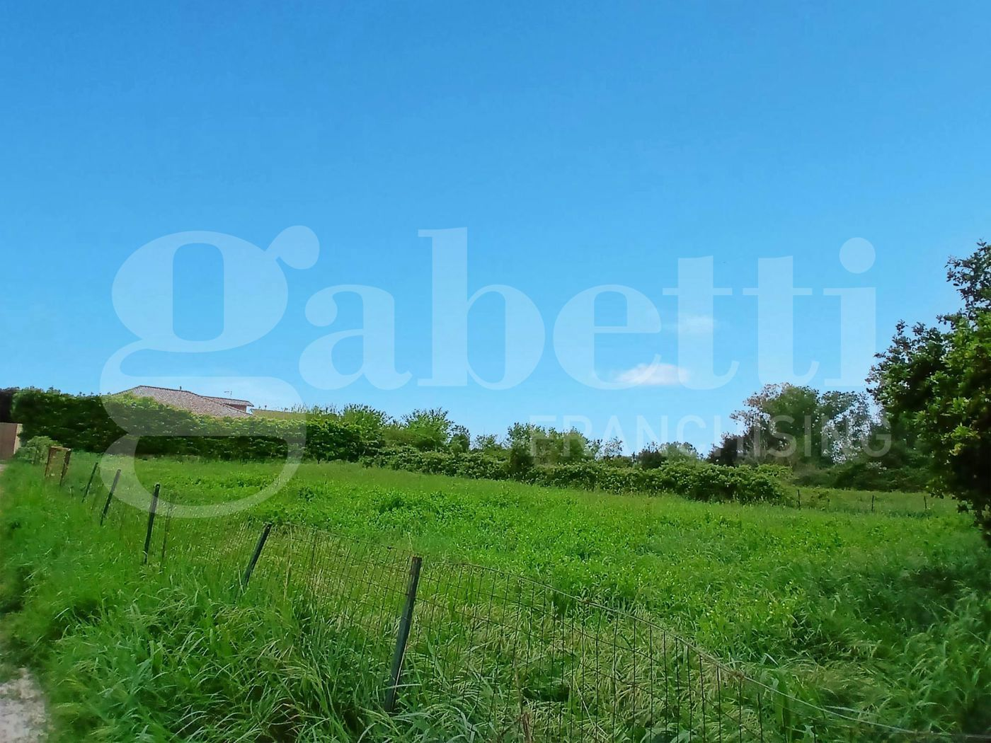 immagine annuncio 2 di 4