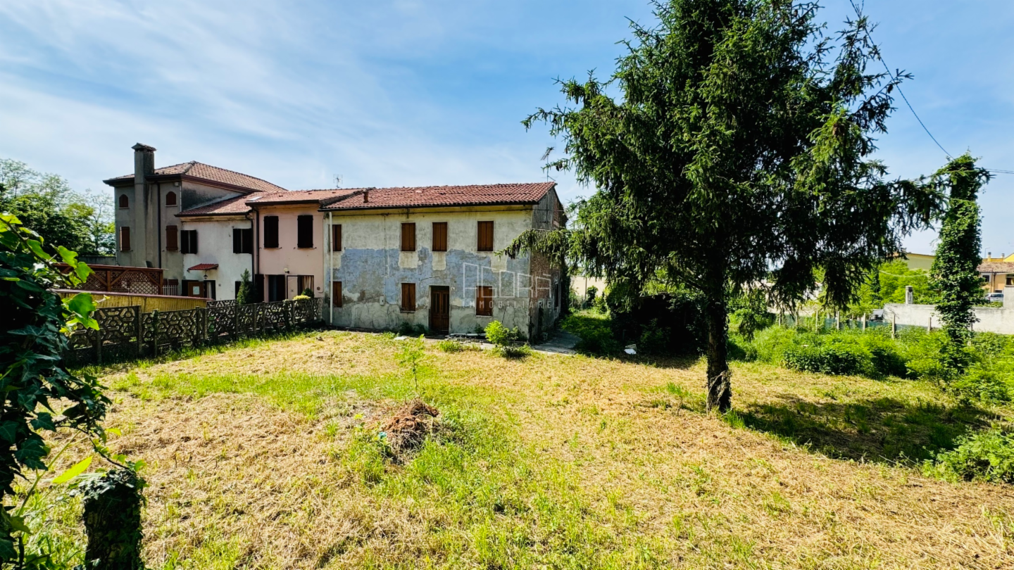 immagine annuncio 1 di 3