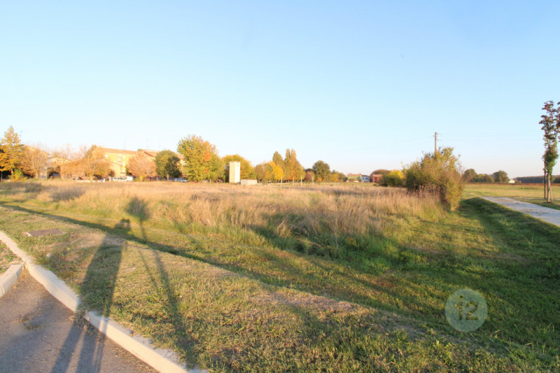 immagine annuncio 3 di 7