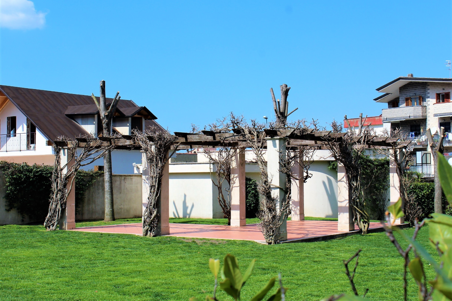 immagine annuncio 7 di 9