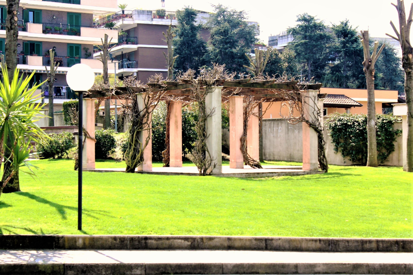 immagine annuncio 6 di 9